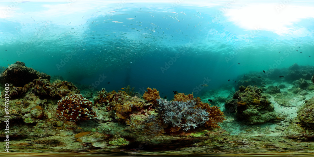 Soft and hard coral garden and sardine run underwater life scene. Equirectangular panoramic.