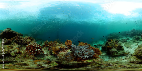 Soft and hard coral garden and sardine run underwater life scene. Equirectangular panoramic.