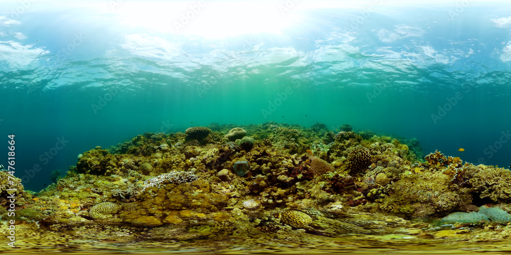 Coral reef ecosystem. Underwater world scenery of colorful fish and corals. Equirectangular panoramic.