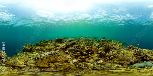 Coral reef ecosystem. Underwater world scenery of colorful fish and corals. Equirectangular panoramic.