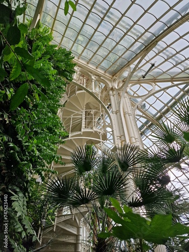 Tropical plants growing under the roof, white spiral staircase in the center