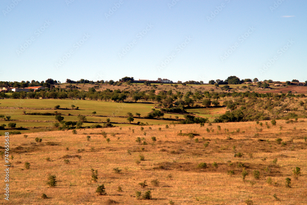 Veduta del territorio della Murgia in Puglia. Italia