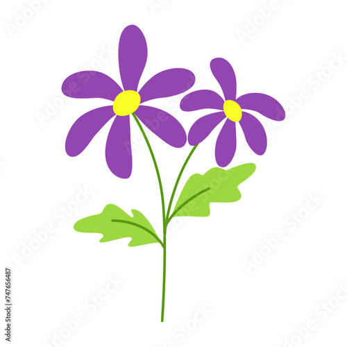 Hand drawn daisies, spring flowers, floral and green leaves. Multicolored blooming botanical elements for designs. Flat vector illustration isolated