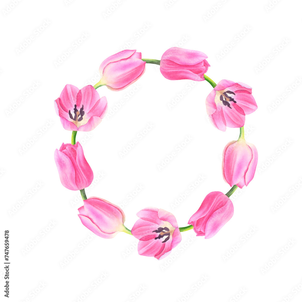 Watercolor wreath of pink tulips on white background. Round frame of flowers. Hand drawn botanical illustration. For design, cards, invitations, congratulations, packaging, printing, advertising.