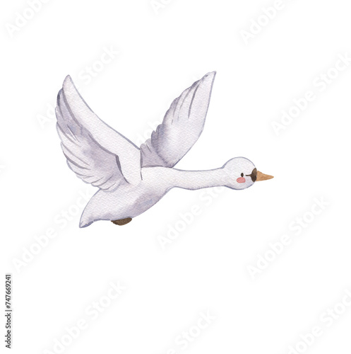 Watercolor swan illustration for kids