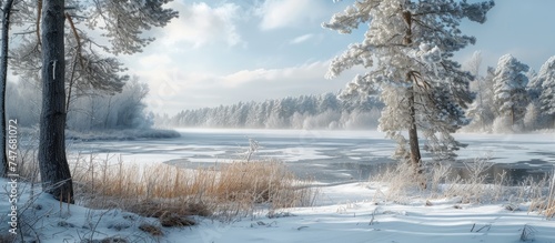 This photo depicts a daytime scene of snow-covered trees and a frozen lake in the landscape.