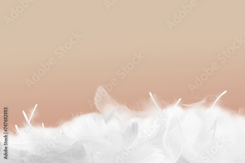 Fluffy bird feathers on pale brown background  space for text