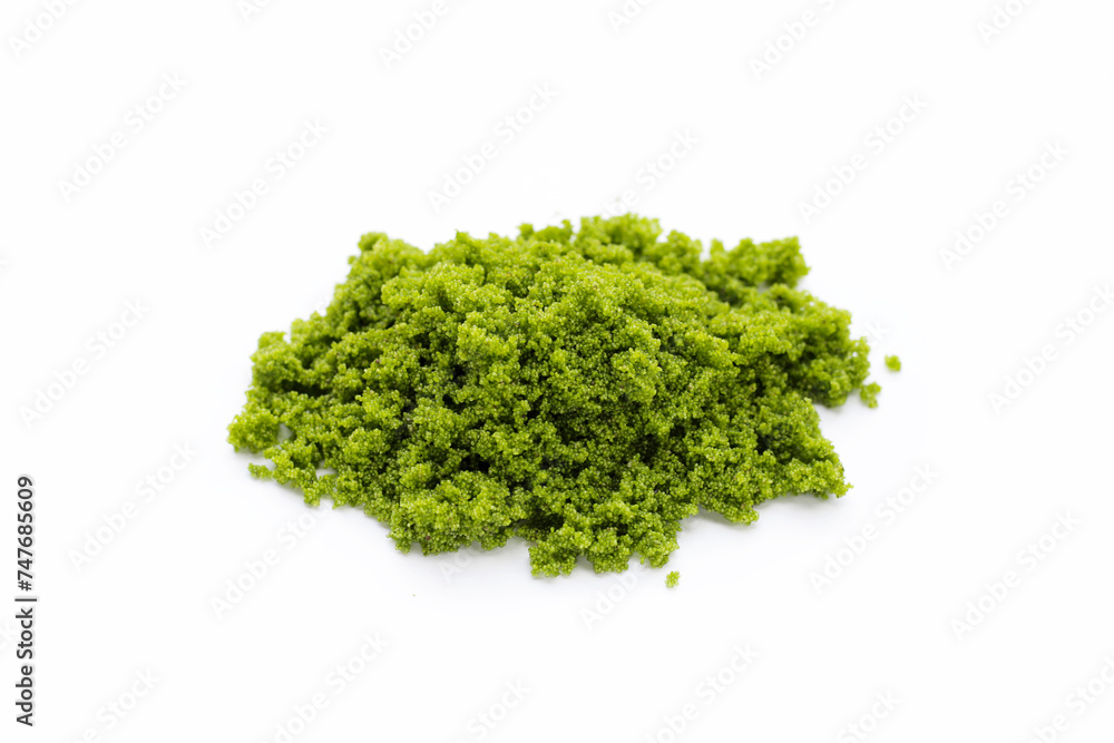 Wolffia globosa or swamp algae, water meal Wolffia globosa or swamp algae, water meal