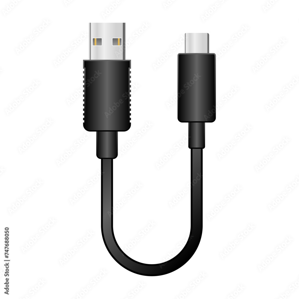 Obraz premium シンプルなイラスト_黒い変換ケーブル_USB Type-A 2.0からUSB Type-C