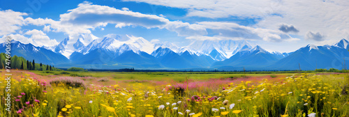 Breathtaking View of a Colorful Wildflower Meadow against the Backdrop of Snow-capped mountains in Alaska © Adeline