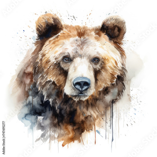 illustration of grizzly bear splashing watercolor