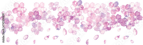 水彩画。水彩タッチの春の桜ベクターイラスト。桜の花びらの和風フレームと背景。Watercolor painting. Spring cherry blossom vector illustration with watercolor touch. Japanese style frame and background of cherry petals.