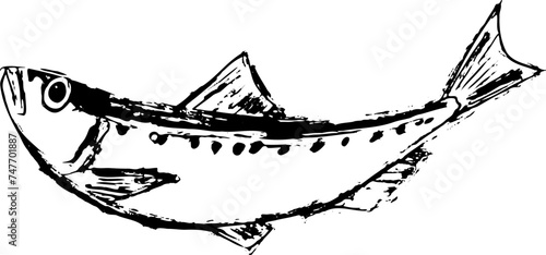 イワシの魚の墨絵イラスト