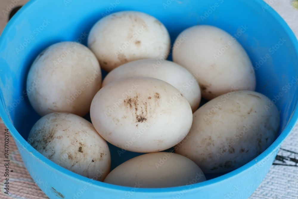 bowl of fresh eggs bowl of fresh eggs