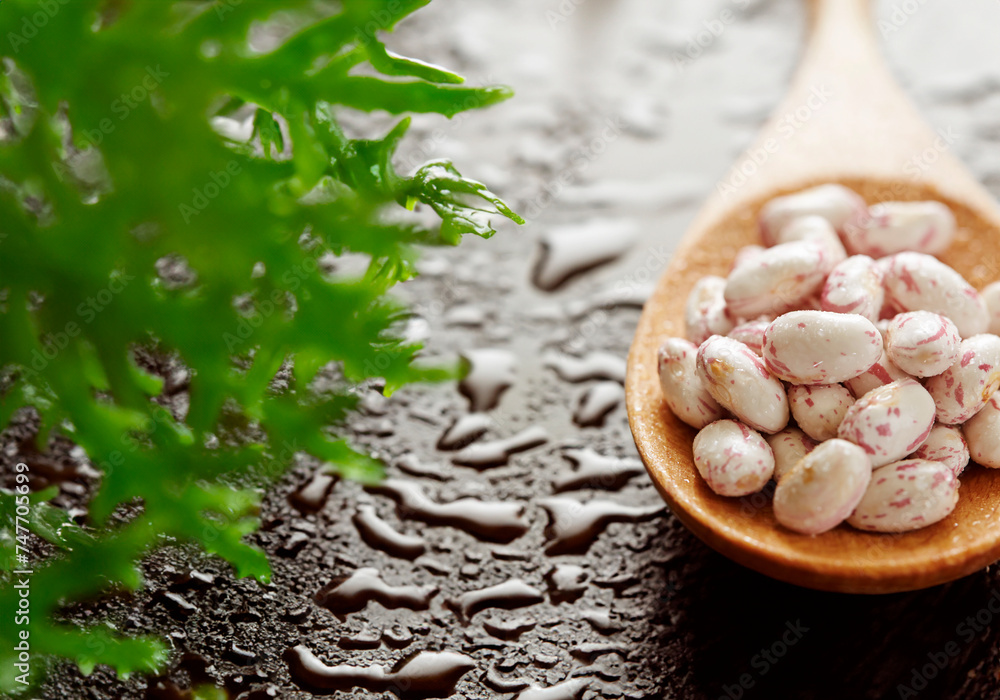 Fototapeta premium Beans with water droplets on a wooden spoon