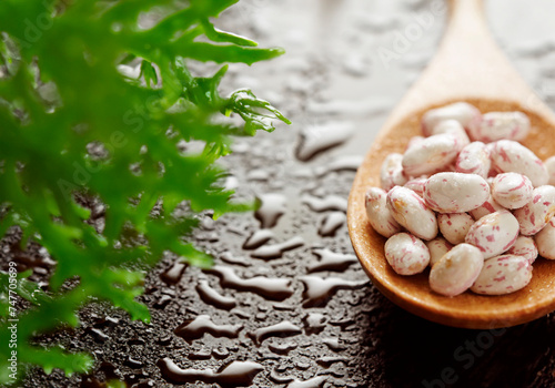 Beans with water droplets on a wooden spoon