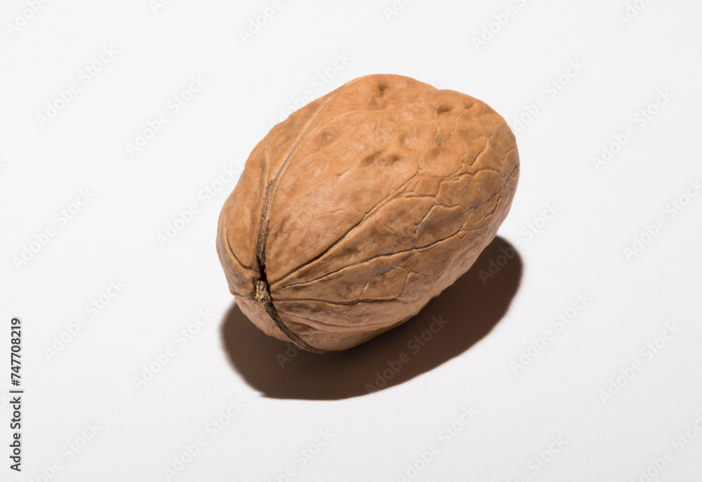 Walnuts are rounded, single-seeded stone fruits of the walnut tree. Walnuts are rounded, single-seeded stone fruits of the walnut tree.