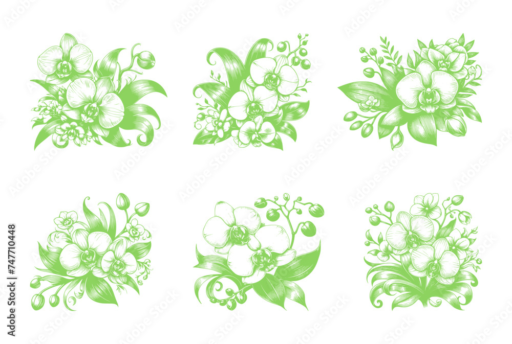 vector set of orchid flower line art style - green (artwork 2) vector set of orchid flower line art style - green (artwork 2)