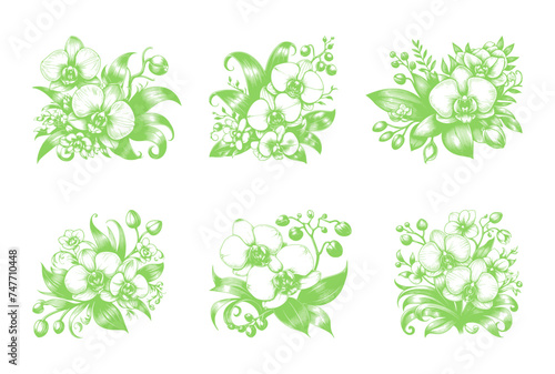 vector set of orchid flower line art style - green (artwork 2)