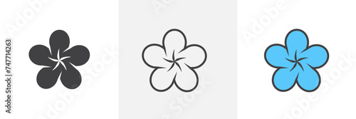 Araliya Flower Isolated Line Icon Style Design. Simple Vector Illustration photo