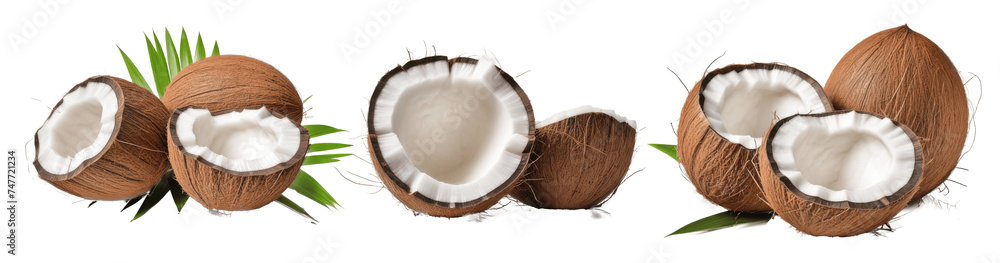 set of coconuts isolated on transparent background set of coconuts isolated on transparent background