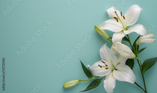 Fresh white lilies on pastel menthe light blue background, Generative AI 