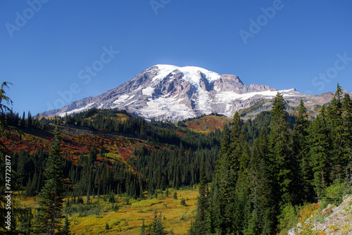 The Big Mountain 
