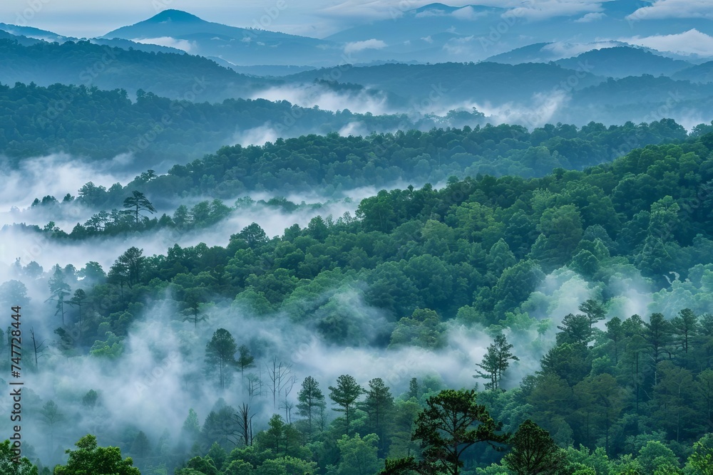 Obraz premium Mountain forest enveloped in morning fog Creating a mystical and serene landscape Perfect for exploring the beauty and mystery of nature