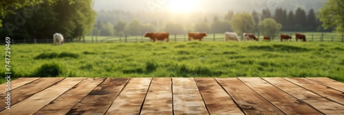 Empty wooden boardwalk over blurred pasture with cows and green grass background. banner, panorama, mock up for product display. photo