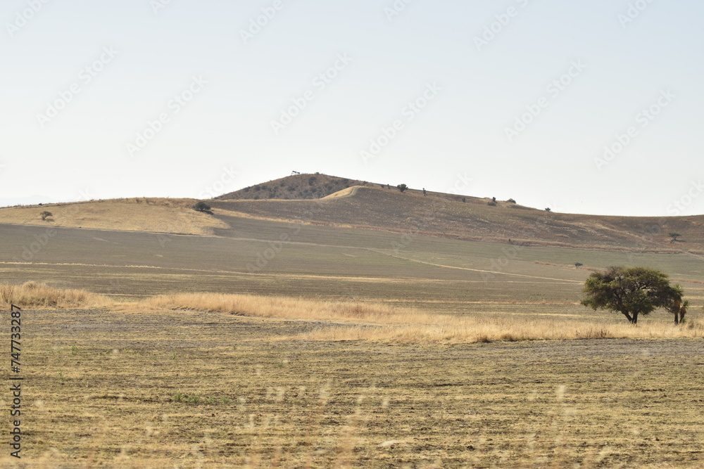 landscape with hills landscape with hills