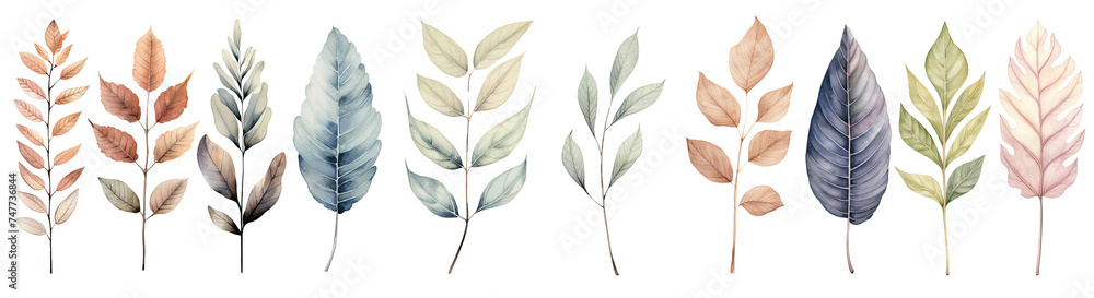 watercolor green tropical leaves, clip art Botanical Illustration elegant watercolor illustration , green tropical leaves isolated transparent background, PNG
watercolor green tropical leaves, clip art Botanical Illustration elegant watercolor illustration , green tropical leaves isolated transparent background, PNG