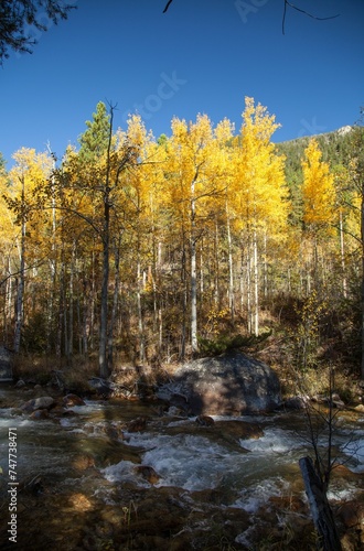 Lake Fork Creek in fall autumn in Beartooth Mountains, Montana