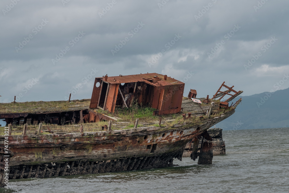 Fototapeta premium The old Whakatiiwai Shipwreck on the Seabird Coast on the western shore of the Firth of Thames in the Hauraki District, New Zealand.