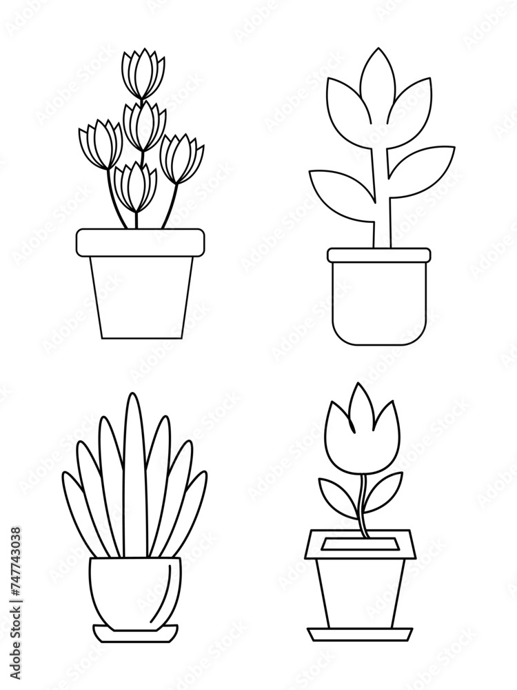 Flowers and pots, interior design, beautiful flowers plants, Plant outline drawing vector set, succulents in pots. Flowers in a pot. Flowers and pots, interior design, beautiful flowers plants, Plant outline drawing vector set, succulents in pots. Flowers in a pot.
