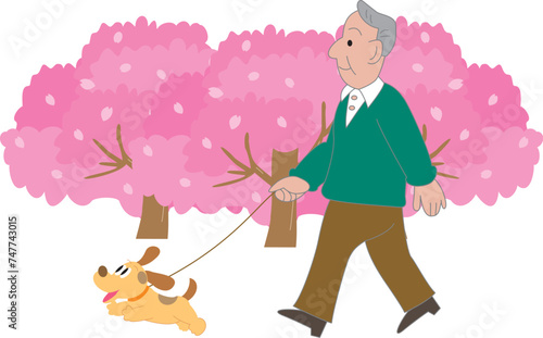 桜と犬を連れて散歩をする高齢男性
