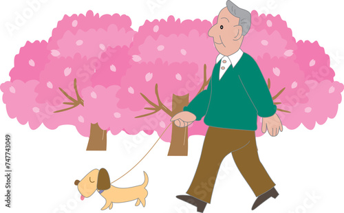 桜と犬を連れて散歩をする高齢男性
