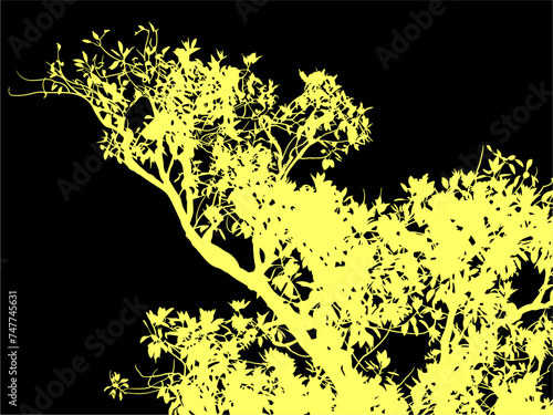ramas, arboles, siluetas, vegetacion, roble, bosque, paisaje, vector, hojas, abstracto, sauce, tronco, malesa, pegatina, follaje