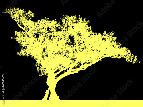 ramas, arboles, siluetas, vegetacion, roble, bosque, paisaje, vector, hojas, abstracto, sauce, tronco, malesa, pegatina, follaje