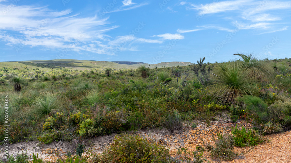 Western Australia, Lesueur National Park in late winter and spring the parks diverse flora comes out in flower.