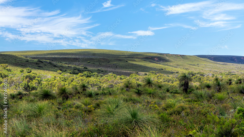Western Australia, Lesueur National Park in late winter and spring the parks diverse flora comes out in flower.