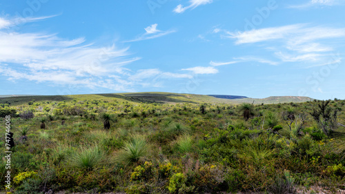 Western Australia, Lesueur National Park in late winter and spring the parks diverse flora comes out in flower.