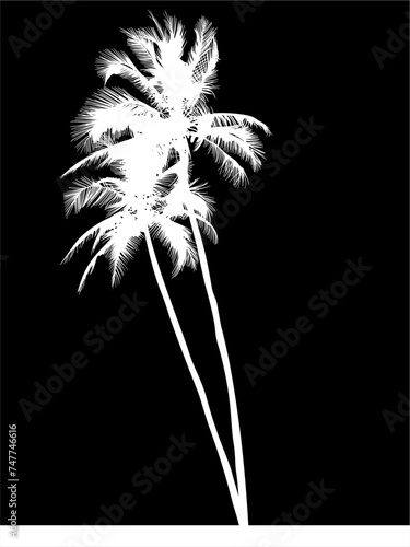 ramas, arboles, siluetas, vegetacion, roble, bosque, paisaje, vector, hojas, abstracto, sauce, tronco, malesa, pegatina, follaje, palmas, palmera