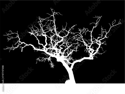 ramas, arboles, siluetas, vegetacion, roble, bosque, paisaje, vector, hojas, abstracto, sauce, tronco, malesa, pegatina, follaje