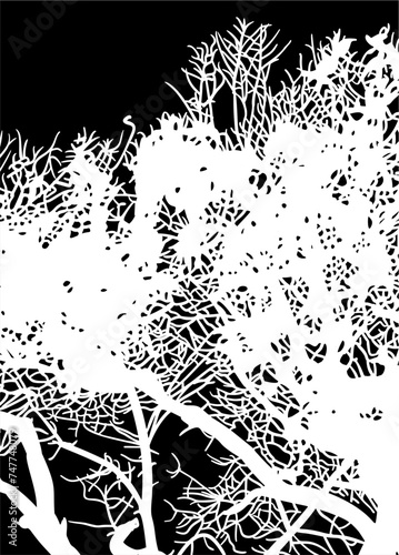 ramas, arboles, siluetas, vegetacion, roble, bosque, paisaje, vector, hojas, abstracto, sauce, tronco, malesa, pegatina, follaje