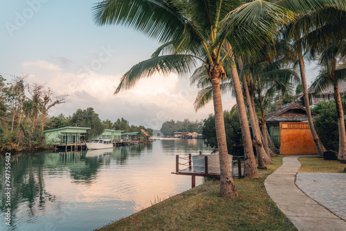 Fototapeta Coconut trees and canalside walkway in the morning