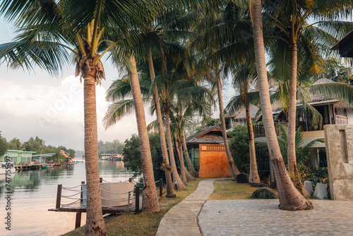 Fototapeta Coconut trees and canalside walkway in the morning