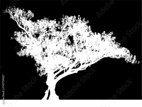 ramas, arboles, siluetas, vegetacion, roble, bosque, paisaje, vector, hojas, abstracto, sauce, tronco, malesa, pegatina