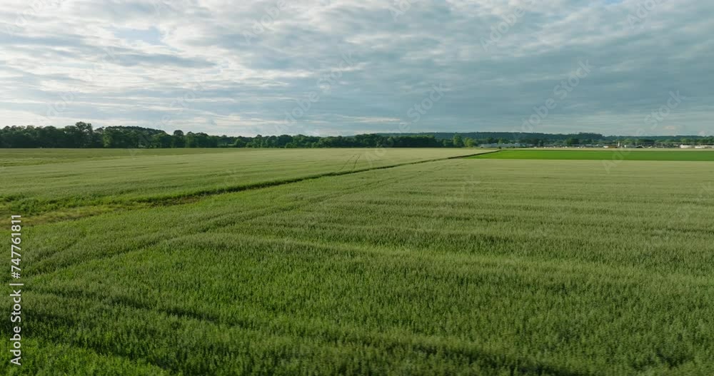 Expansive green fields under cloudy skies in Dardanelle, Arkansas, wide shot Expansive green fields under cloudy skies in Dardanelle, Arkansas, wide shot