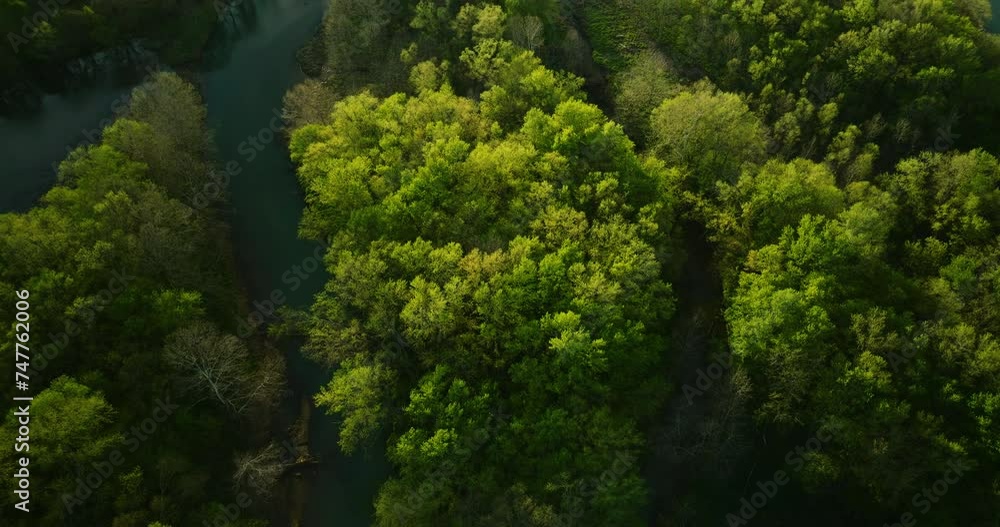 Lush greenery around lake sequoyah, arkansas, with water cutting through, aerial view Lush greenery around lake sequoyah, arkansas, with water cutting through, aerial view