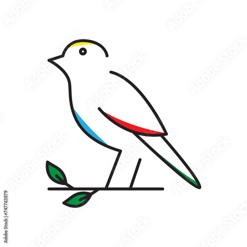 line art bird beauty canary logo vector